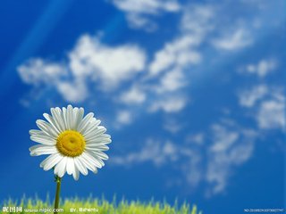 齐峰物业 | 致敬改革开放40年物业变迁！