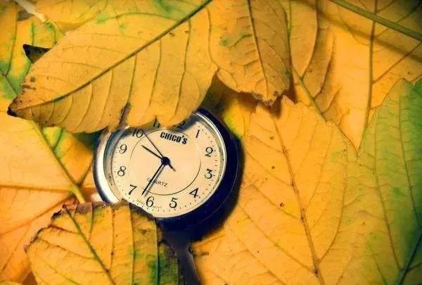 2018即将结束，你最想对自己说什么？