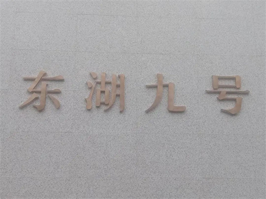 捷报|热情庆祝东湖九号高端售楼部顺利进场