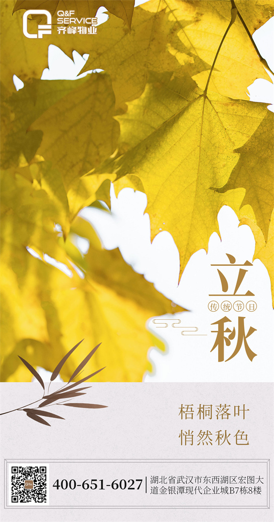 立秋|梧桐落叶，悄然秋色