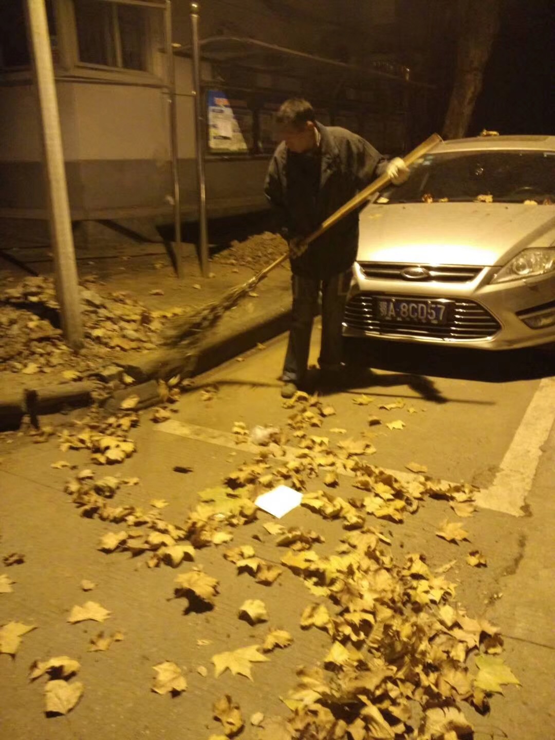 齐峰物业保洁清扫落叶中