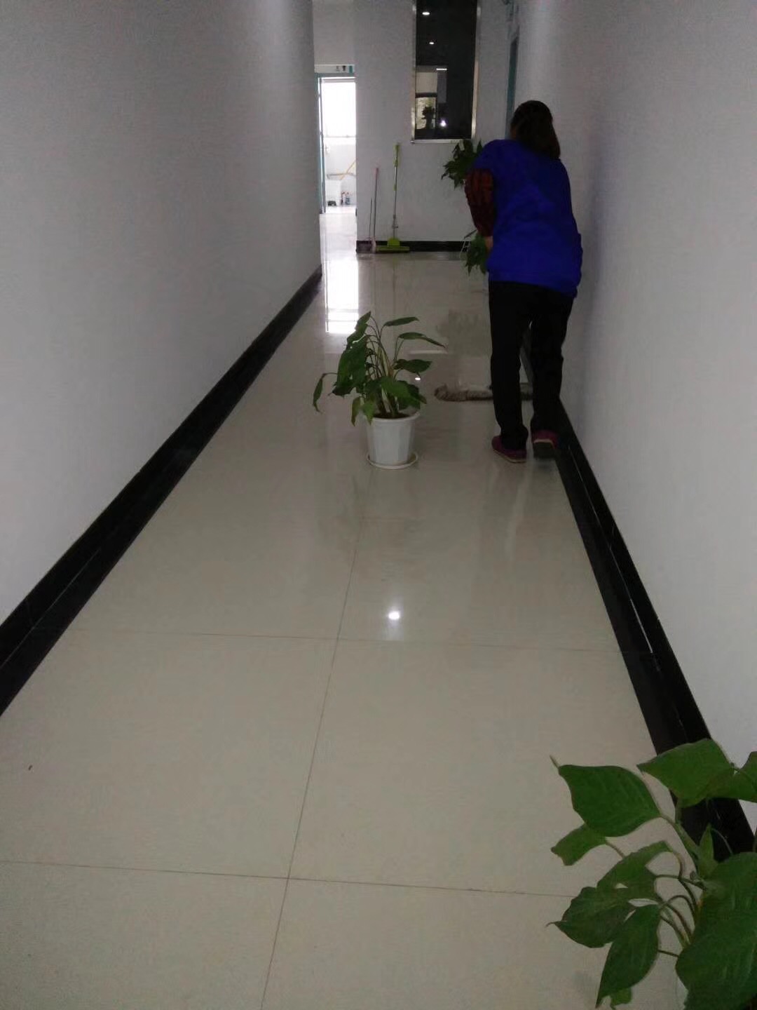 齐峰物业武汉明德生物办公大楼楼道清洁中