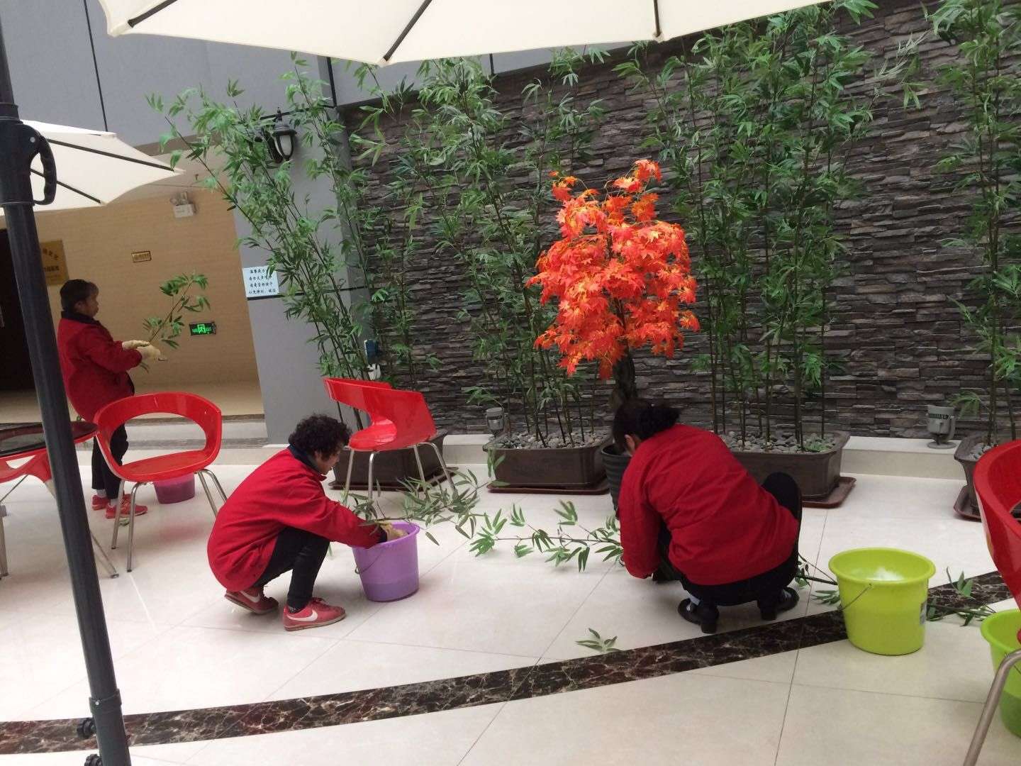 齐峰物业清理凤铭广场植物中