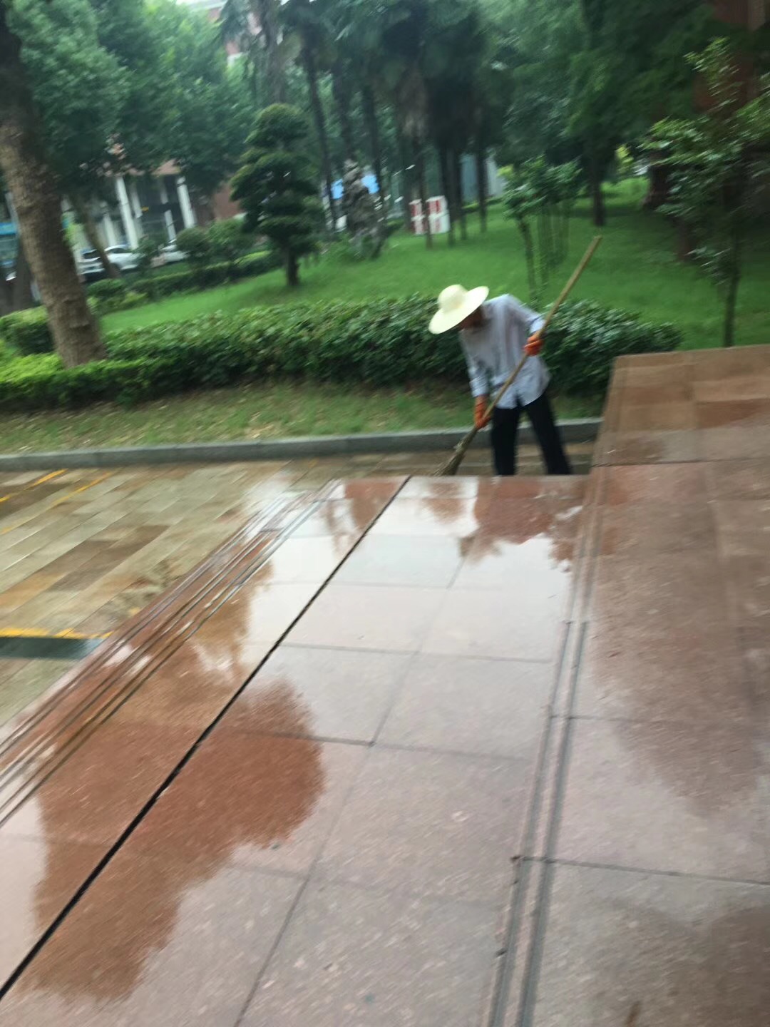 齐峰物业保洁人员清除台阶旁雨后残留物